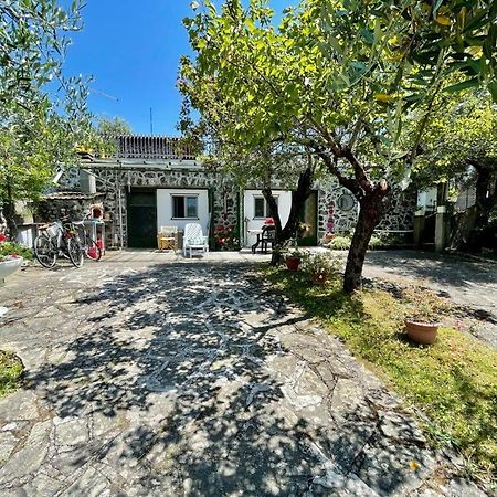 Rosy Apartment - Levanto, 5 Terre Dış mekan fotoğraf