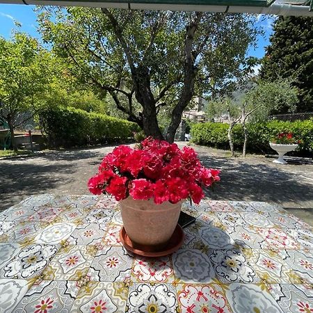 Rosy Apartment - Levanto, 5 Terre Dış mekan fotoğraf