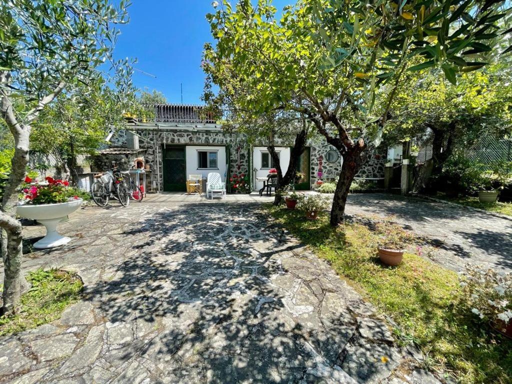 Rosy Apartment - Levanto, 5 Terre Dış mekan fotoğraf