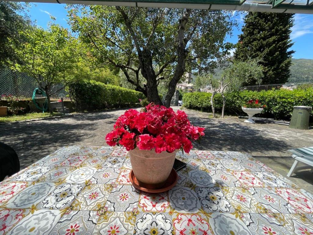 Rosy Apartment - Levanto, 5 Terre Dış mekan fotoğraf