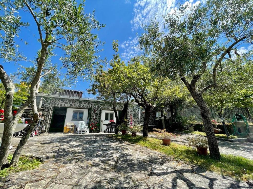 Rosy Apartment - Levanto, 5 Terre Dış mekan fotoğraf